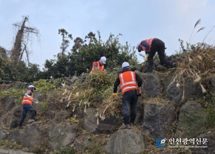 2026년 칡덩굴제거 사업