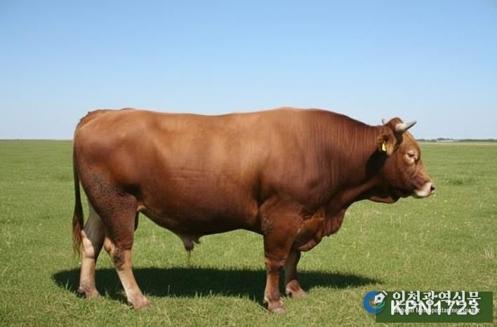 보증씨수소 KPN1723