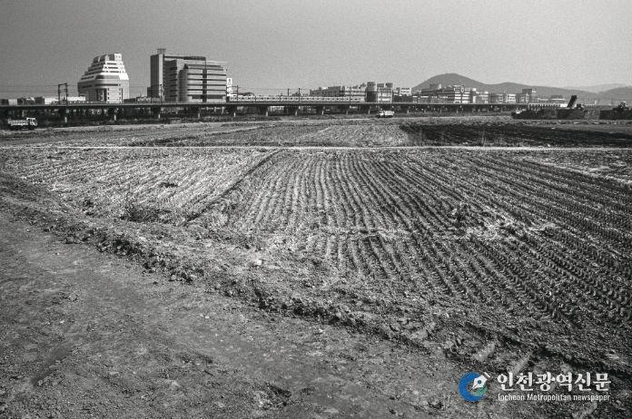 1995년도 고잔뜰 전경, 현재는 고잔신도시가 조성되어 아파트 단지로 변모했다.