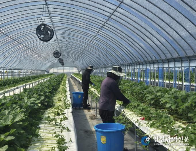 홍성군, 신규농업인 현장실습 교육 연수생 모집