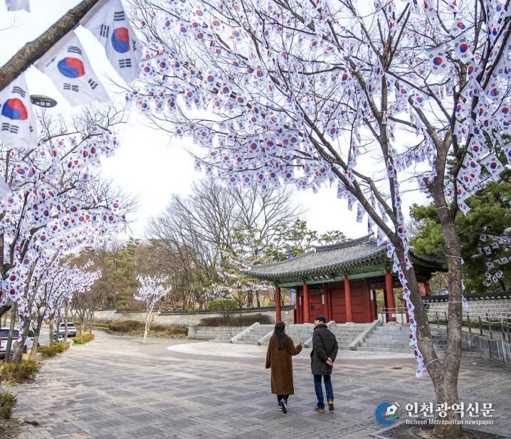 용산구 효창공원 일대 태극기로 물들다...'장관 연출'