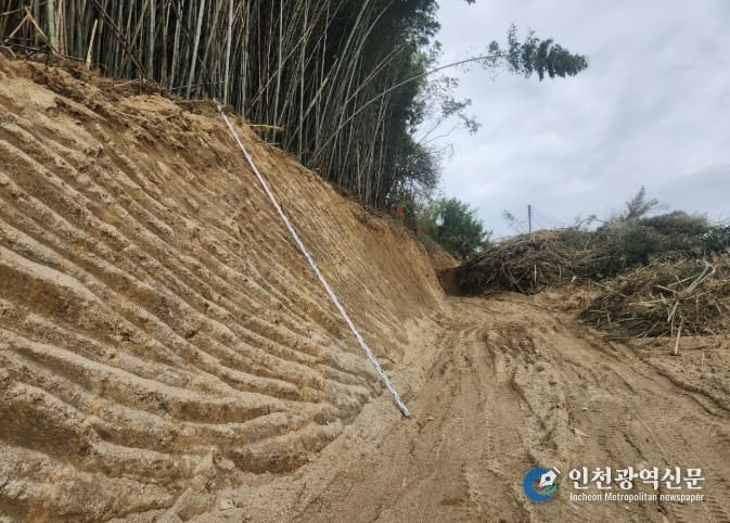 군계획도로 개설 현장 사진