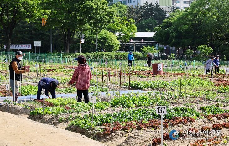 남동구, 2026년 남동 실버농장 참여자 모집(실버농장)