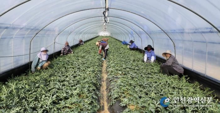 청주시, 2026년 상반기 외국인 계절근로자 421명 도입