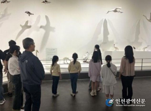 자유대전 멘토링 프로그램