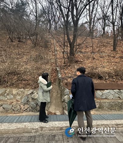 전문가(산림기술사) 합동점검