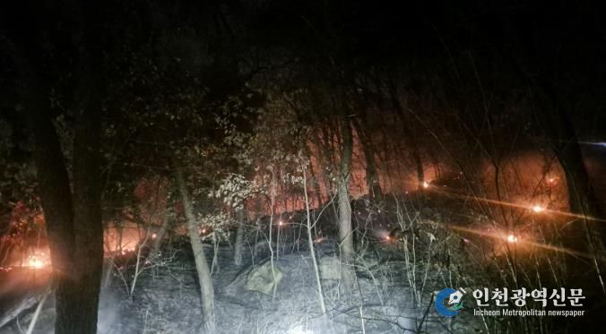 산불 발생 사진