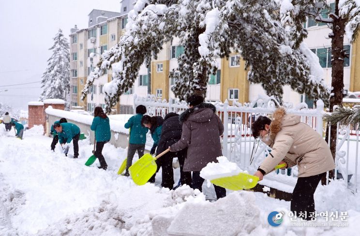 태백지역 폭설, 전 공무원 투입 제설 총력 대응