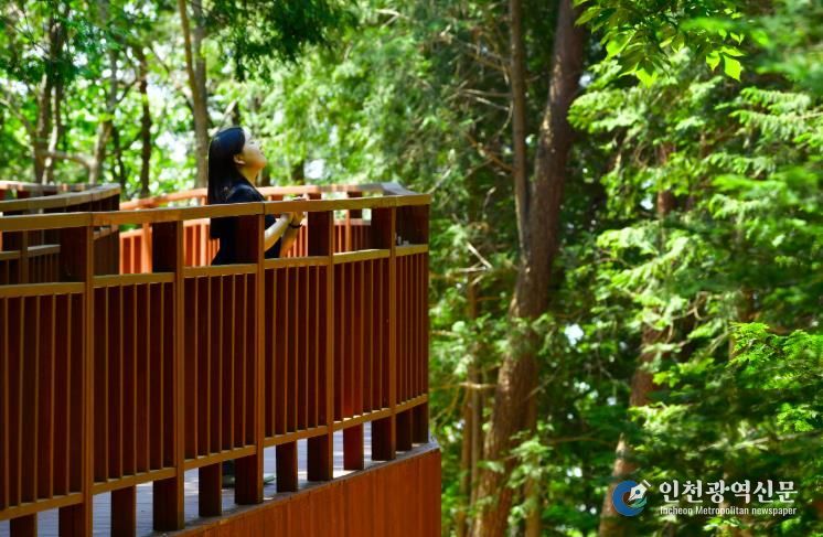 장성 축령산 하늘숲길을 찾은 관광객.