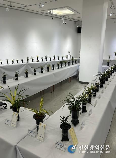 2025년 난 연합회 봄 전시회