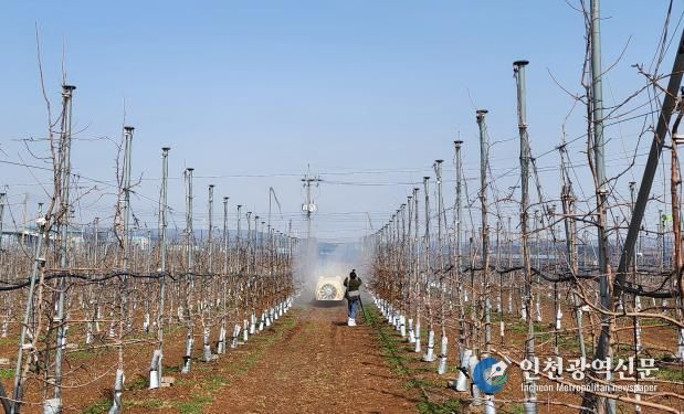 약제 방제하는 모습