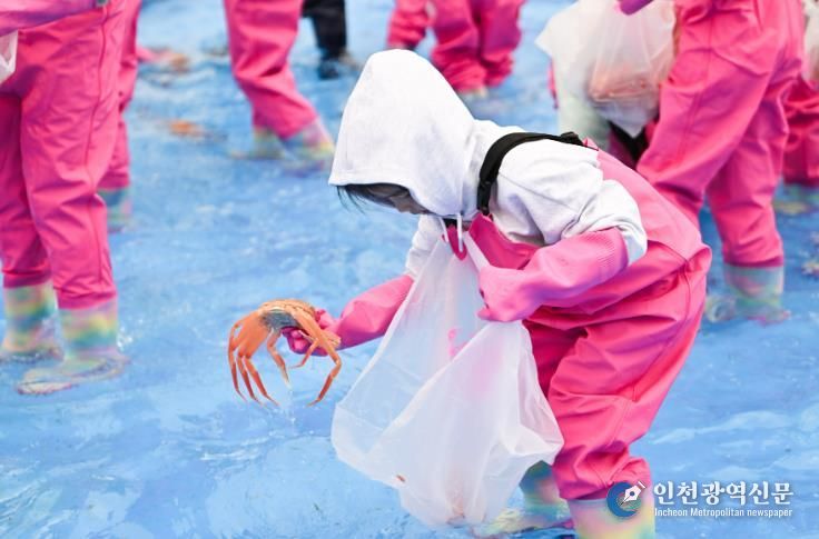 2025년 제28회 영덕대게축제 어린이 게판 체험 프로그램.