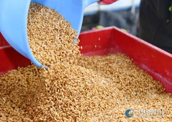 못자리 현장점검