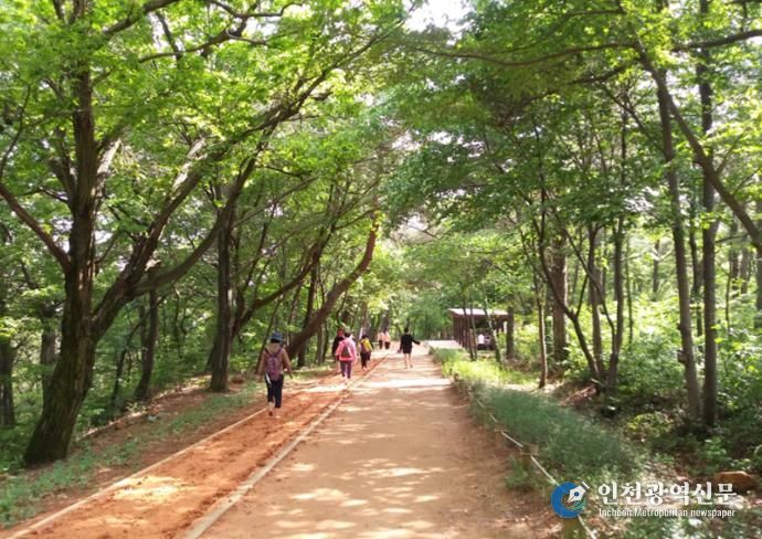 김해시 분성산 생태숲 황톳길 개장