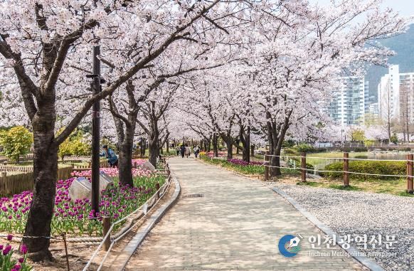 “김해의 봄 길을 걷다” -연지공원