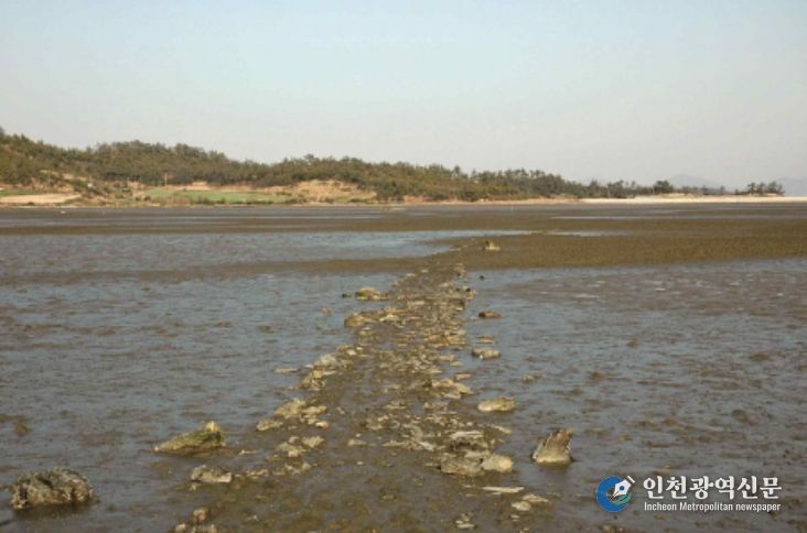 신안군 팔금도 거사리의 노둣길