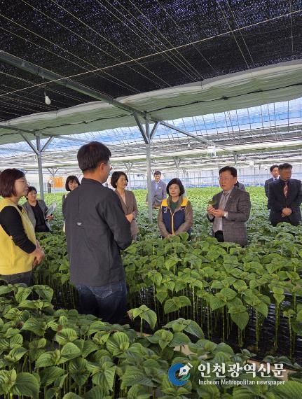 이승돈 농촌진흥청장 금산군 남일면 음대리 일원 현장 방문 모습