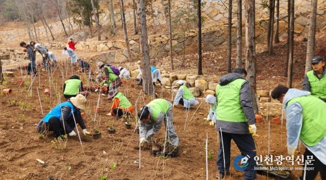 남해군, 식목일 맞아 자연휴양림 나무심기 행사
