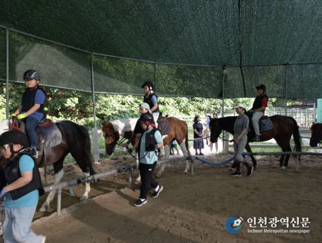 과천시 학생승마 지원사업 말타기 수업 모습