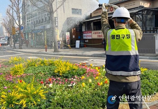 광진구, 도심 곳곳 봄꽃 길 조성… 일상에 여유와 행복 더하는 걷기 좋은 거리 만든다