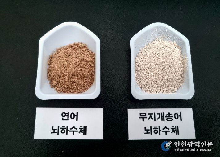 민물장어 인공종자 생산 연구