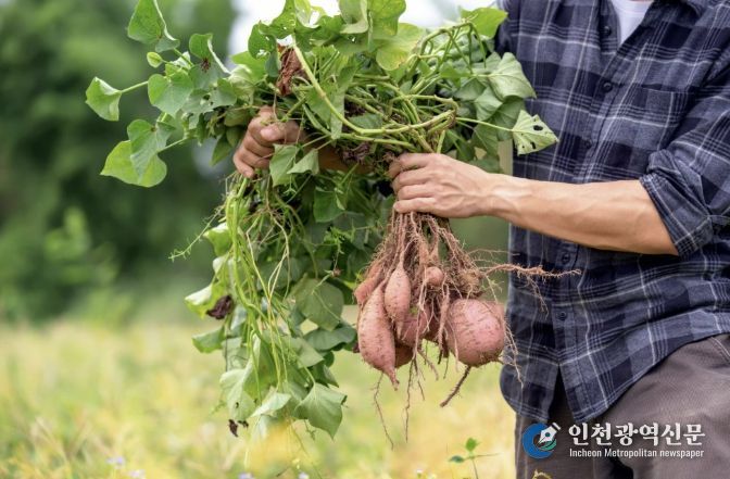 진안군, 지속가능한 친환경농업 지원 확대