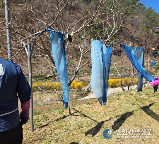 치유농업 연계 치매가족 야외 치유프로그램