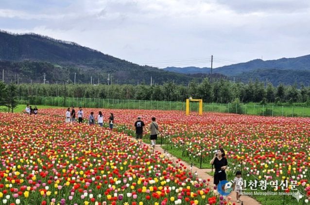 안동포타운, 안동포세대공감페스타 개최