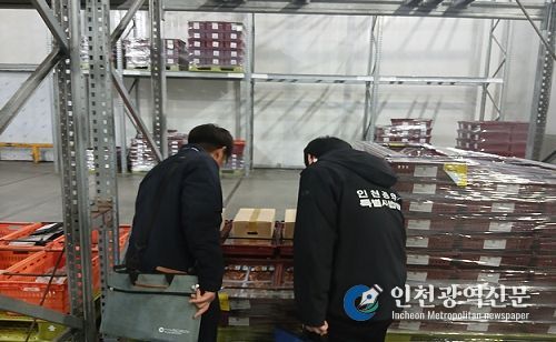 단속 관련 사진