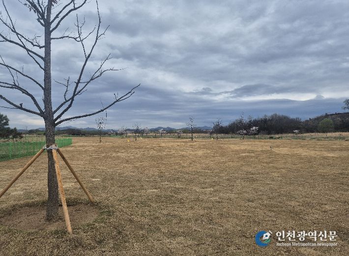 대산파크골프장 교육장 22홀 조성