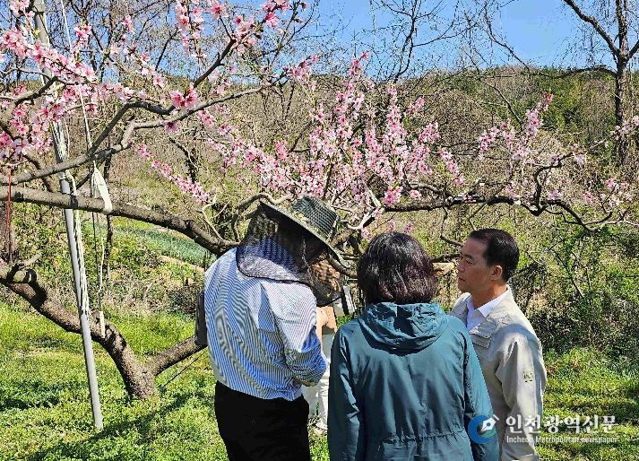 과수농가 현장지도