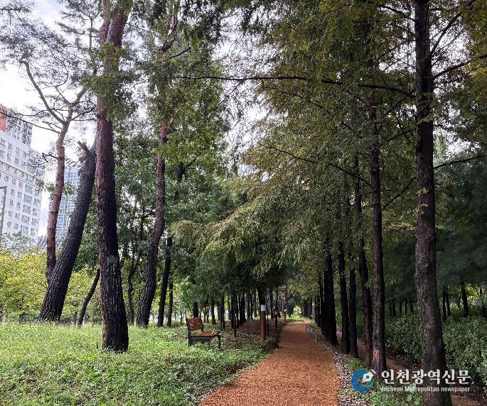 단절 녹지잇는 세종시 새롬동 둘레길, 마무리 단계