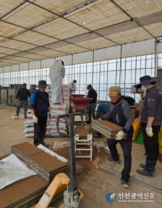 강릉시, 본격 벼 육묘작업 추진