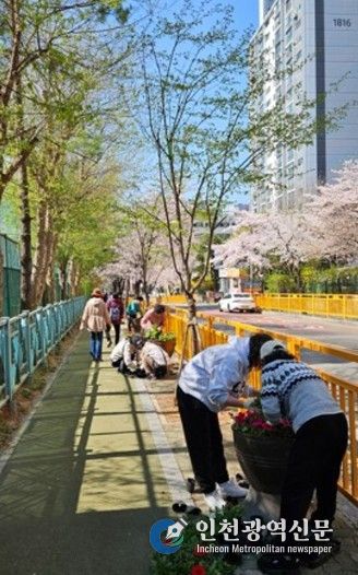고양시 행신3동, 초화류 식재로 아름다운 꽃길 조성