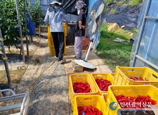 귀농, 살아보고 결정하세요! ‘거창군, 농촌에서 살아보기 참가자 모집’