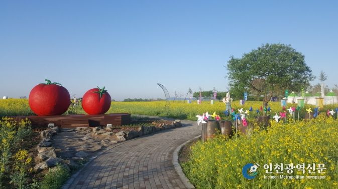 2026 부여세도 방울토마토 & 유채꽃 축제17일 개막