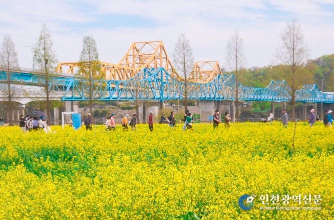 1. 남지철교와 어우러진 유채단지