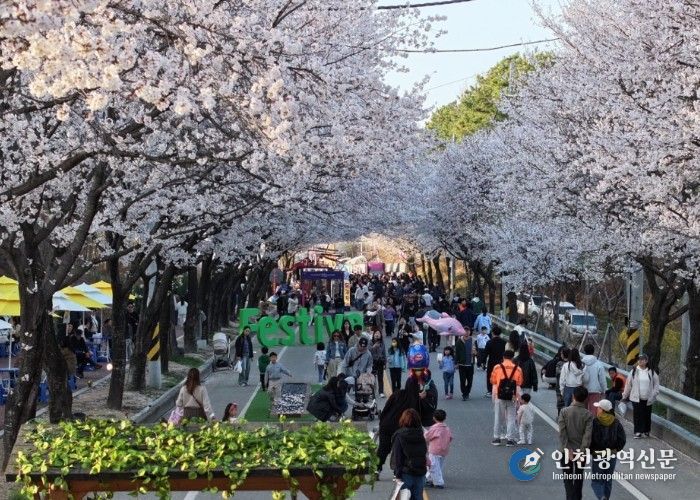 제10회 여주흥천남한강벚꽃축제 43만명 방문, 역대 최고 성과 달성