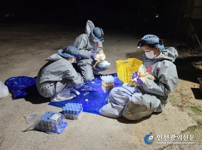 종계장 정밀검사