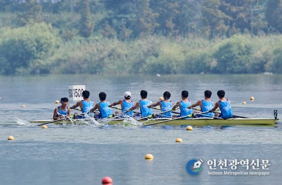 2025년 전국조정선수권대회