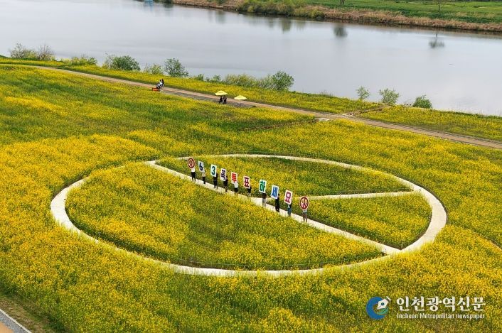 나주시가 전라남도 선거관리위원회와 협업해 영산강 유채꽃 단지에 ‘기표용구’ 형태의 이색 포토존을 조성했다.(사진 제공-나주시)