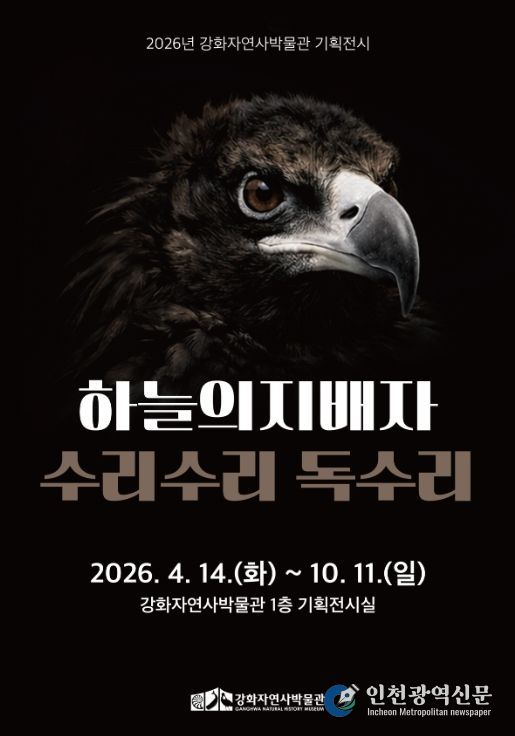 강화도 하늘의 지배자 ‘독수리’ 전시로 만난다