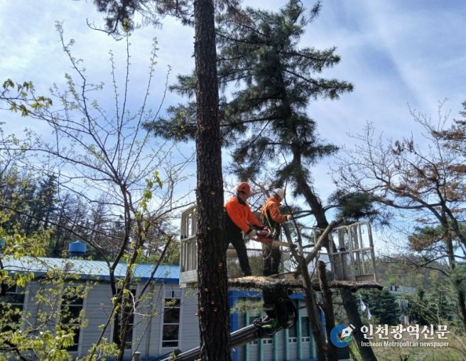 포항시가 태풍과 집중호우 등 재해로부터 시민의 생명과 재산을 보호하기 위해 ‘2026년 상반기 재해위험목 제거사업’을 본격 추진한다.