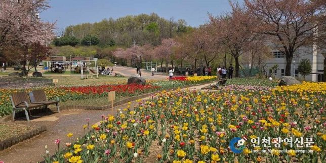 의정부 직동근린공원, 튤립 활짝…쉼과 여유 더한 힐링 공간 조성